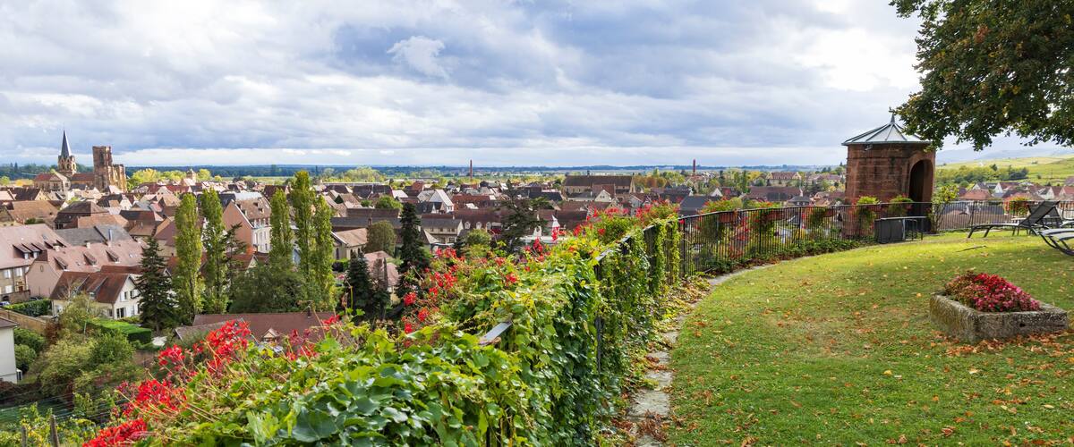 A town with historic buildings, a church, and a park with flowering plants.