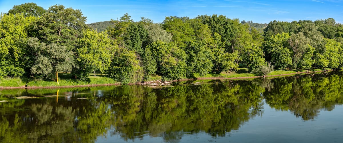 Trees along the banks of the Dordogne River reflect in the water near Meyronne in the region Perigord, France