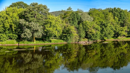 Trees along the banks of the Dordogne River reflect in the water near Meyronne in the region Perigord, France