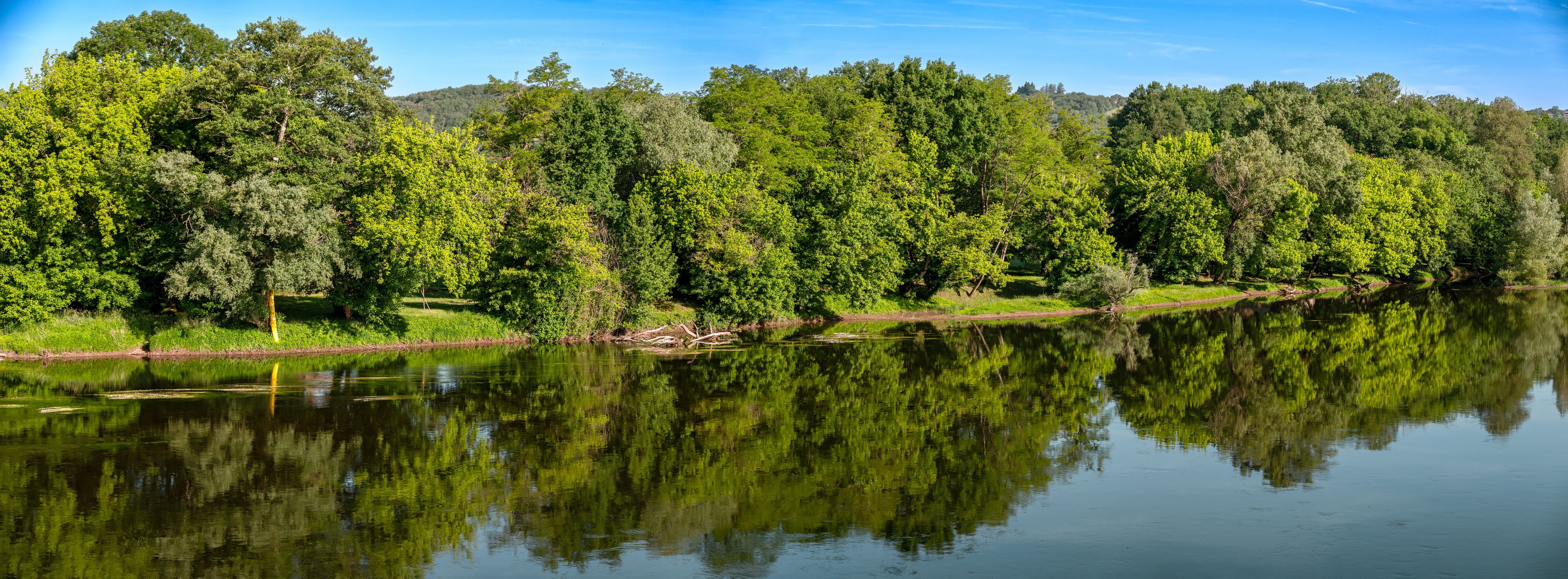 A calm river reflecting dense green trees and a clear blue sky.
