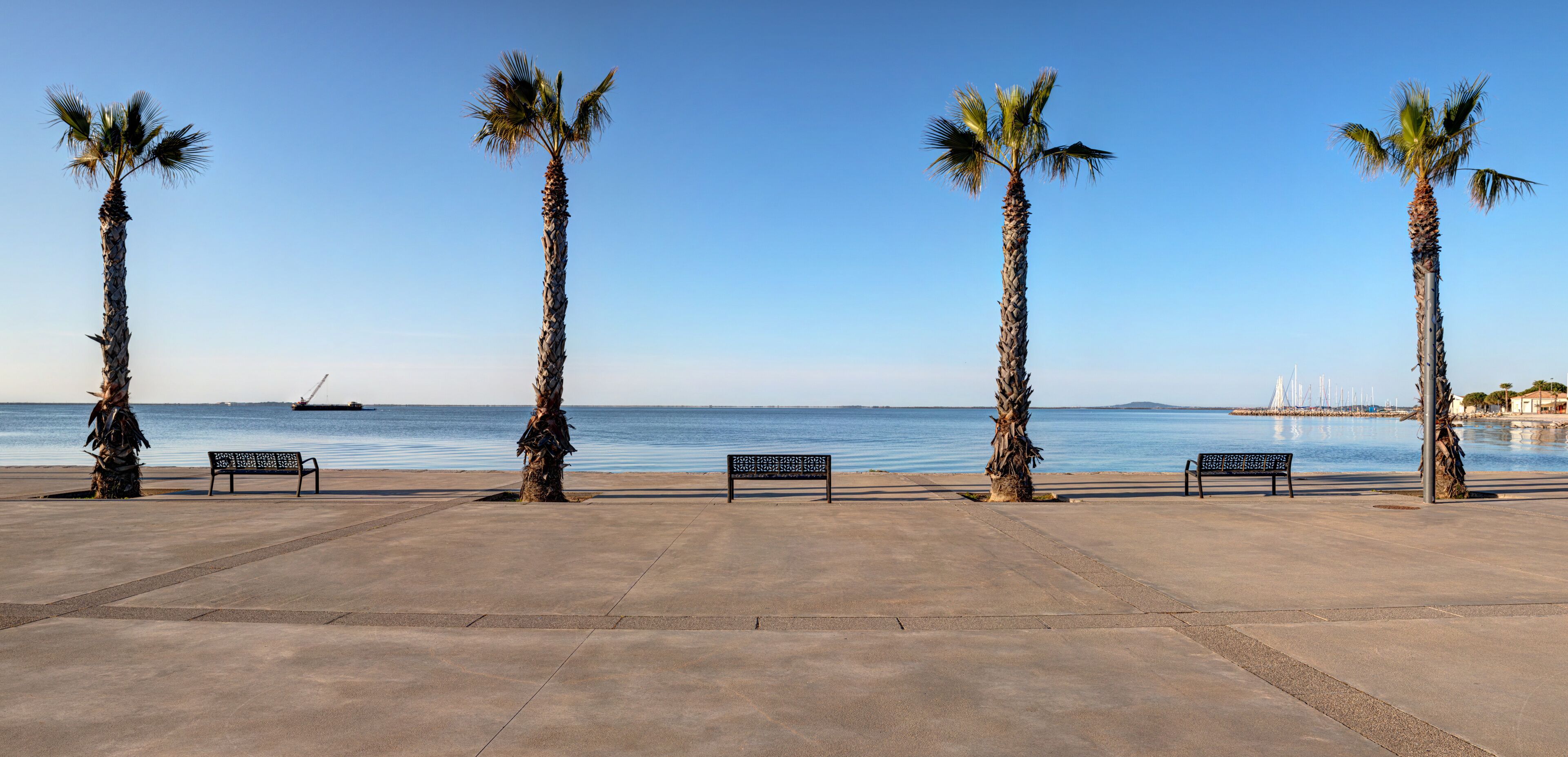 A coastal promenade with palm trees and benches, a clear sky, and a distant ship.