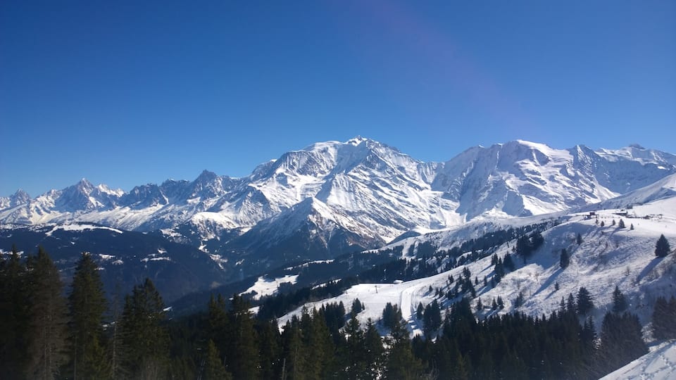 Snow-covered mountain peaks, a clear blue sky, and a forested valley.