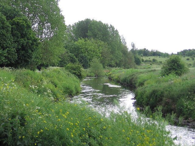 River Tame. flowing through lush green banks in early summer