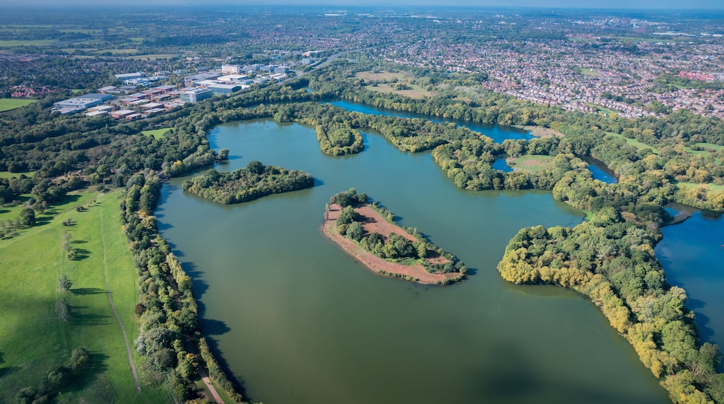 ๊ทธ๋ ์ดํธ ๋ฐ