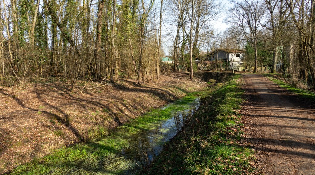 Saclay
