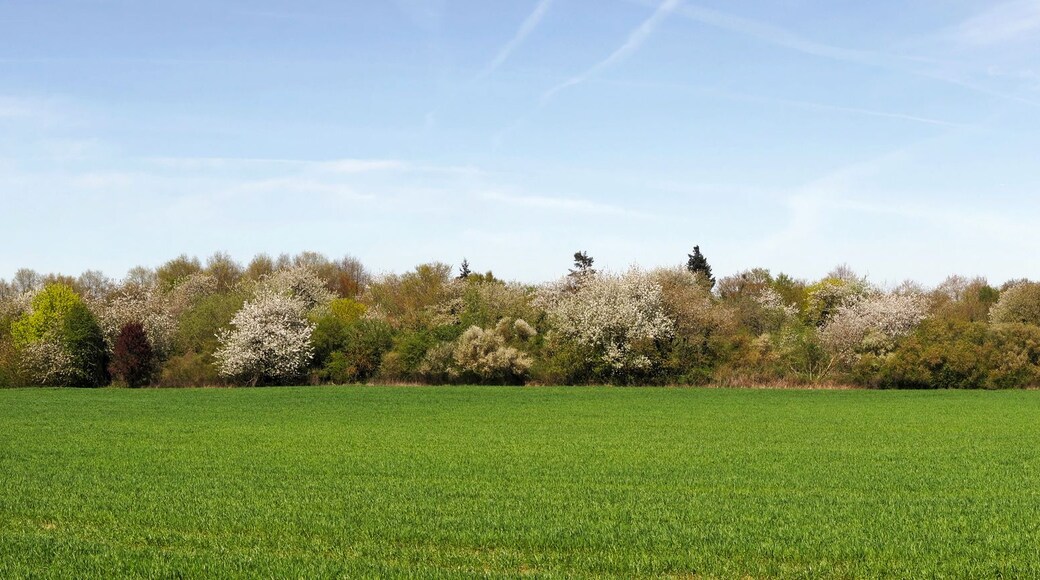 Saclay