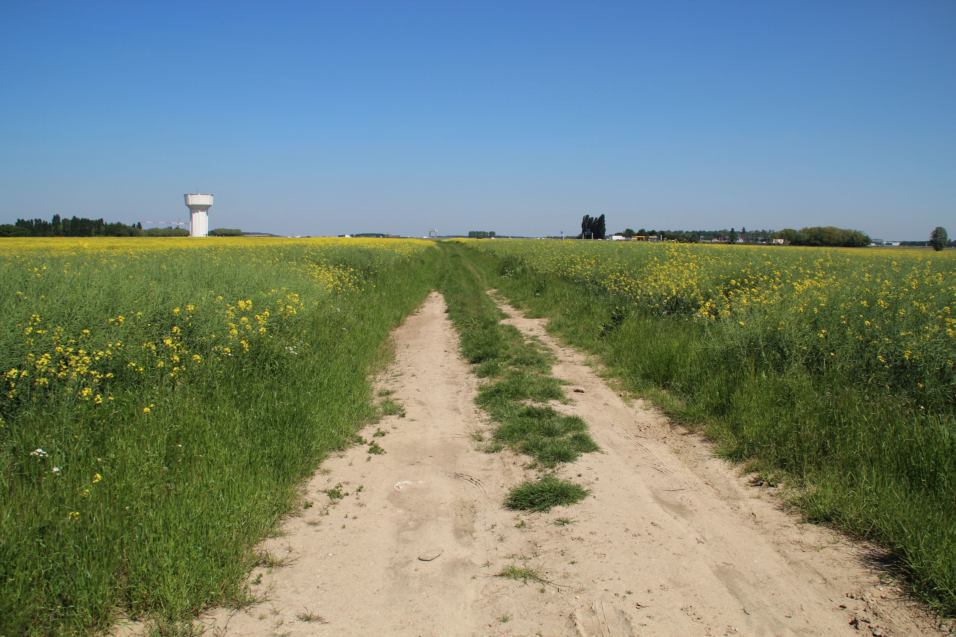Saclay's plateau June 4, 2013 in Saclay, France.
