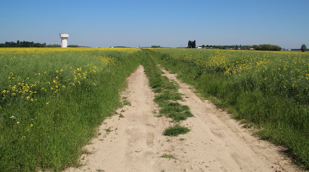 Saclay's plateau June 4, 2013 in Saclay, France.