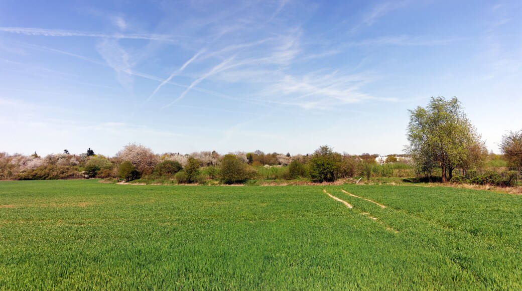 Saclay