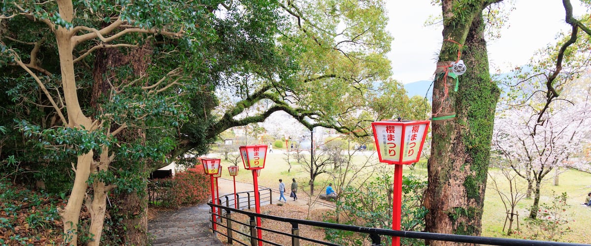 小城公園の桜祭り「佐賀県」
