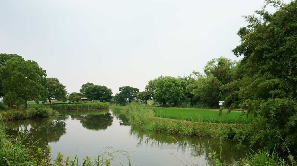 Preserved creeks and paddy fields, at Hyotanjima Park in Hyogo, Saga city, Saga prefecture.