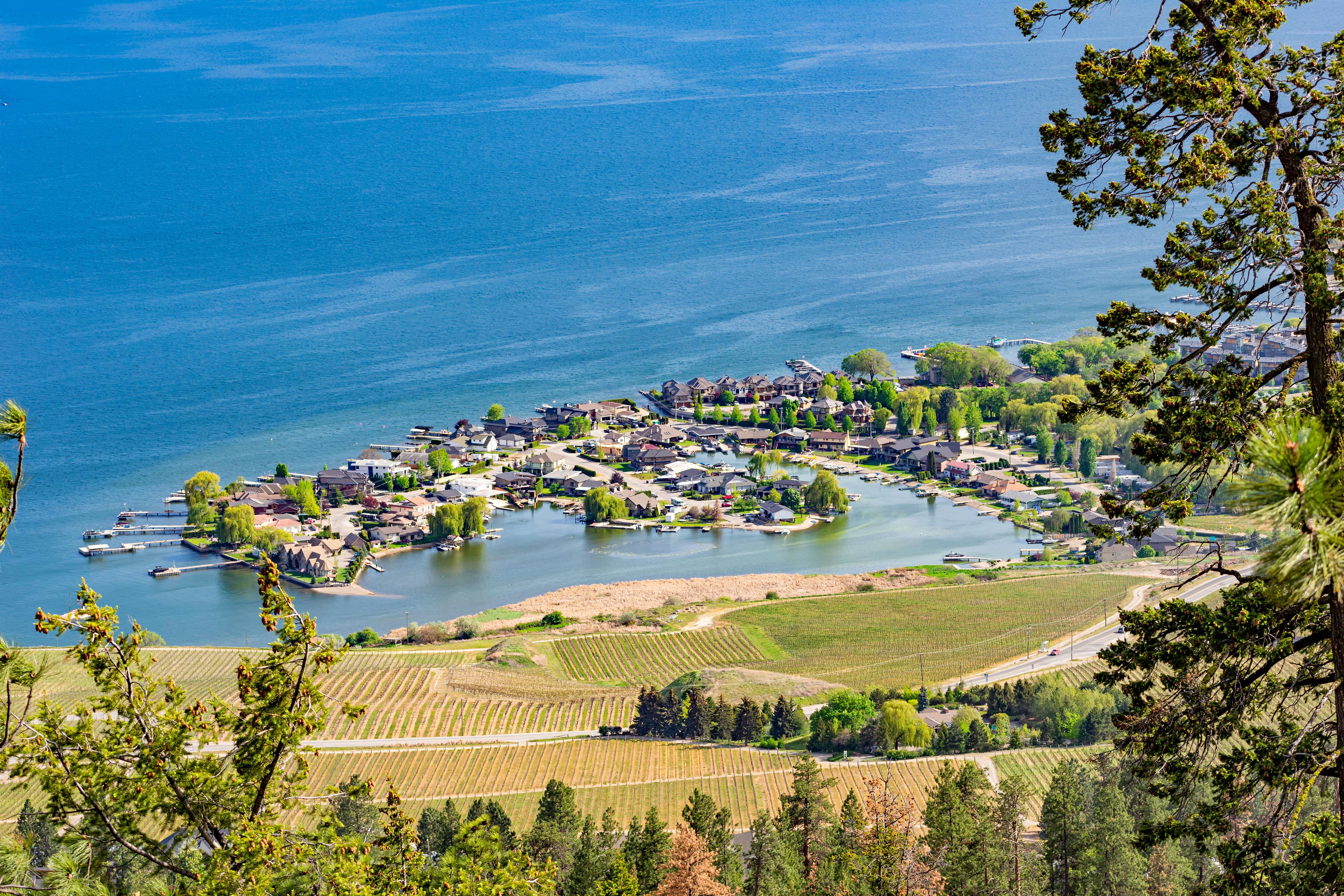A coastal town with a marina, surrounded by vineyards and hills.