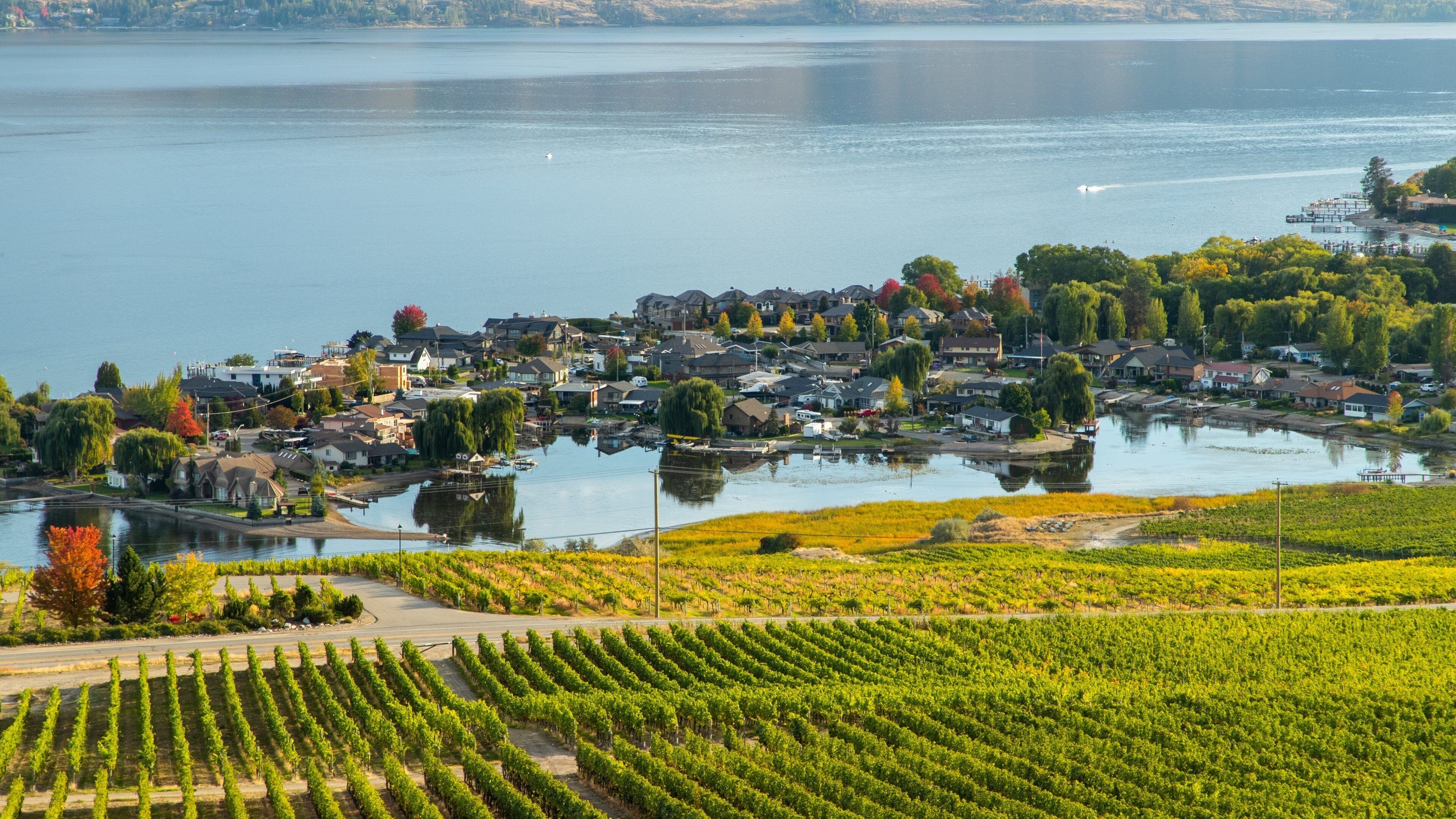 A lakeside town with vineyards and a dock.
