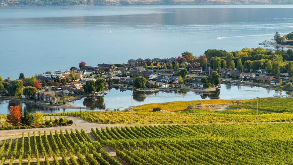 A lakeside town with vineyards and a dock.