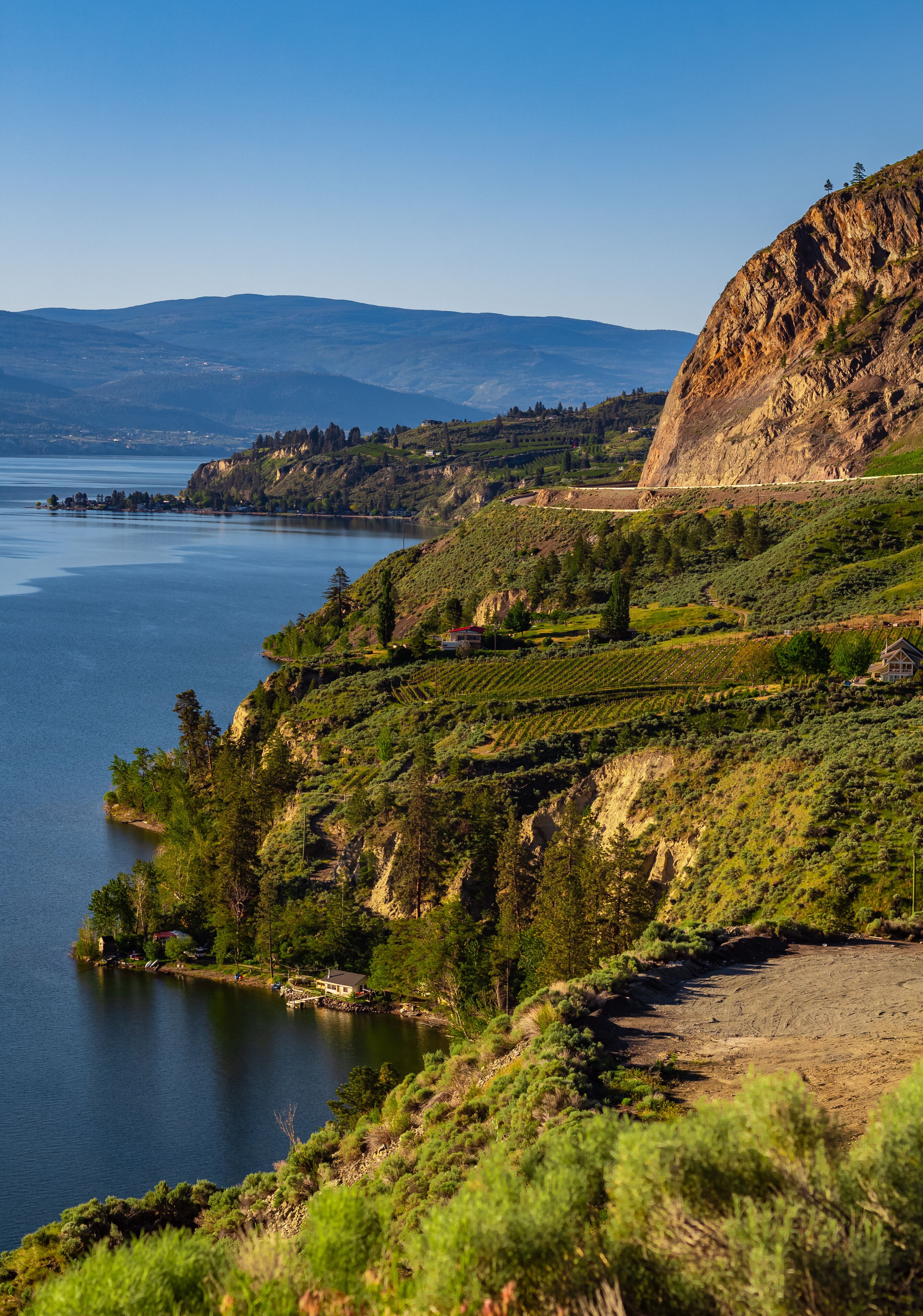 Un paisaje costero con una masa de agua, viñedos en terrazas y una ladera empinada.
