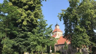 A church with a red roof and a tower, surrounded by lush green trees.