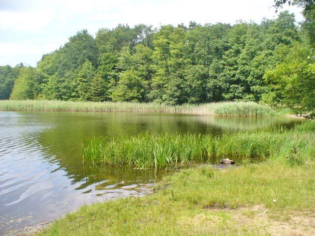 Grosser Lienewitzsee (Great Lienewitz Lake)