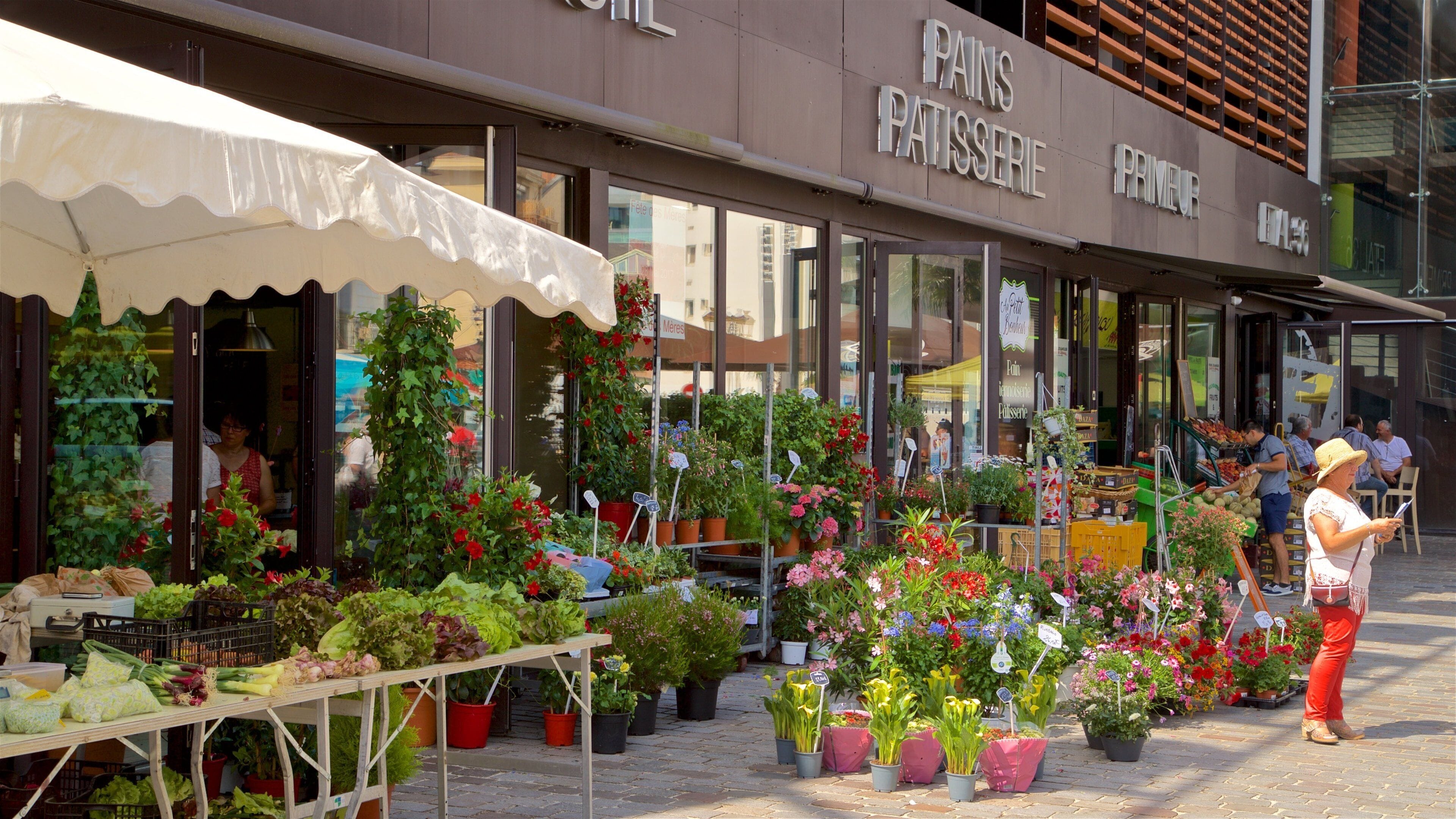 Tarbes showing flowers and street scenes as well as an individual femail