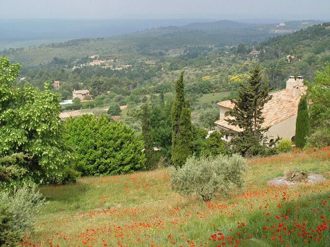 A hillside with a house, trees, and a field of red poppies.