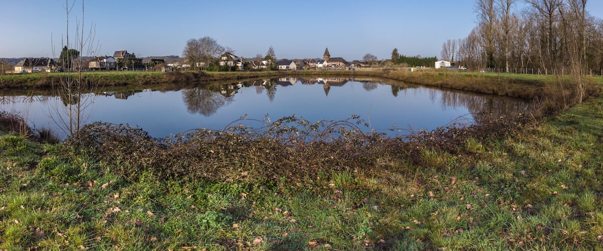A calm pond reflecting houses and trees, surrounded by grassy banks and a clear sky.