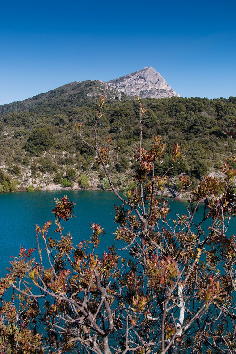 Sainte Victoire Mountain