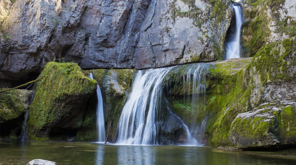 La cascade de la Billaude, aussi appelée « saut Claude-Roy », est l'un des sites les plus grandioses du Jura en France. La rivière Lemme plonge par une fissure étroite dans un amphithéâtre rocheux
