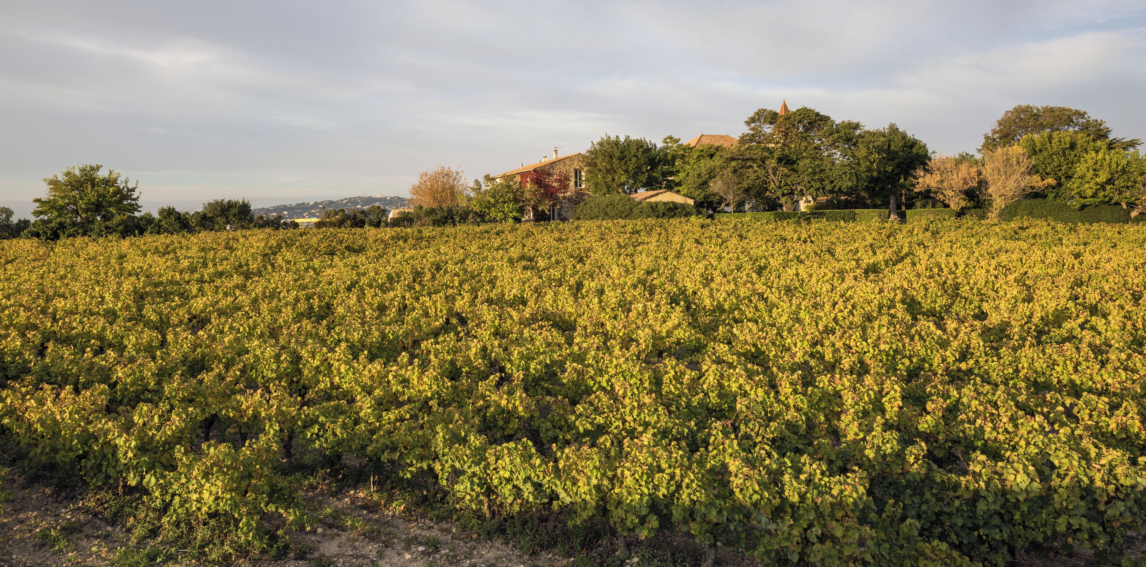 Château de La Peyrade. Frontignan, Hérault, France.