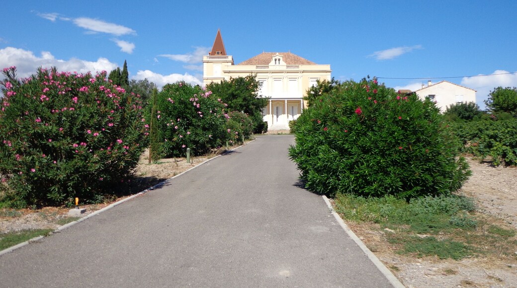 Frontignan (Hérault) - château la Peyrade.