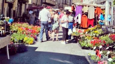 Blue skies, perfect weather, chocolate croissants, cheese, bread, wine, flowers, local artists, unique jewelry, and wonderful people. This market, in the south of France, is rustic but ever so charming. #market