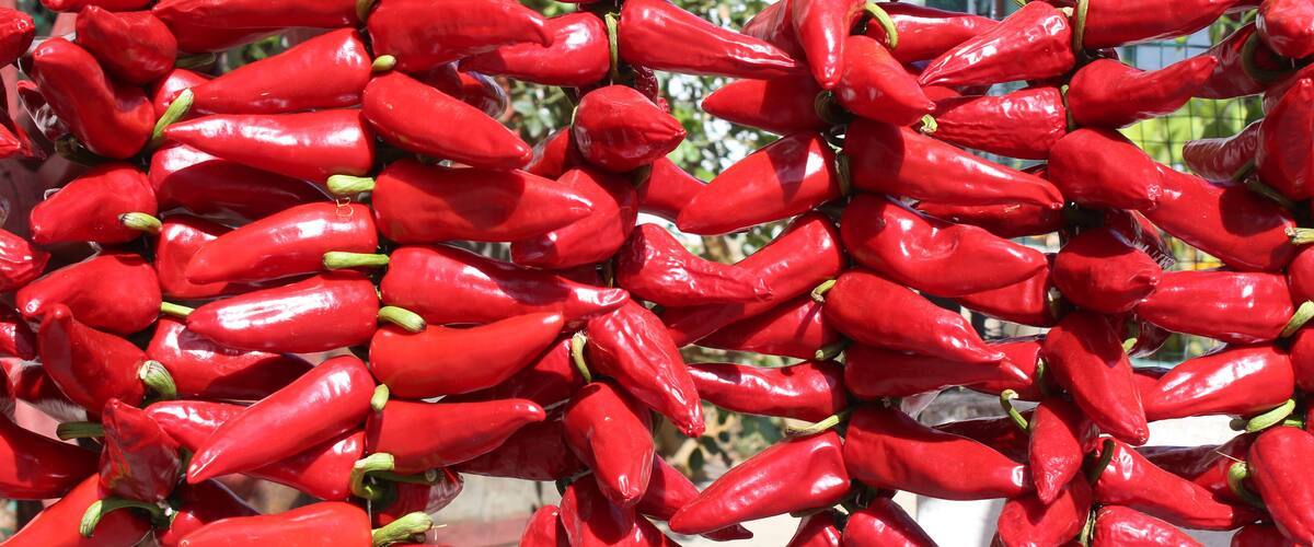 A cluster of red chili peppers.