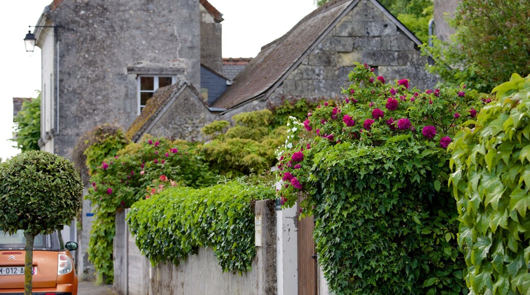 薩彭尼爾斯 设有 花朵