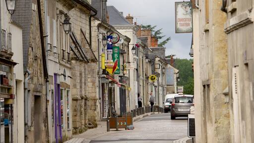 Savonnières bevat een klein stadje of dorpje en straten