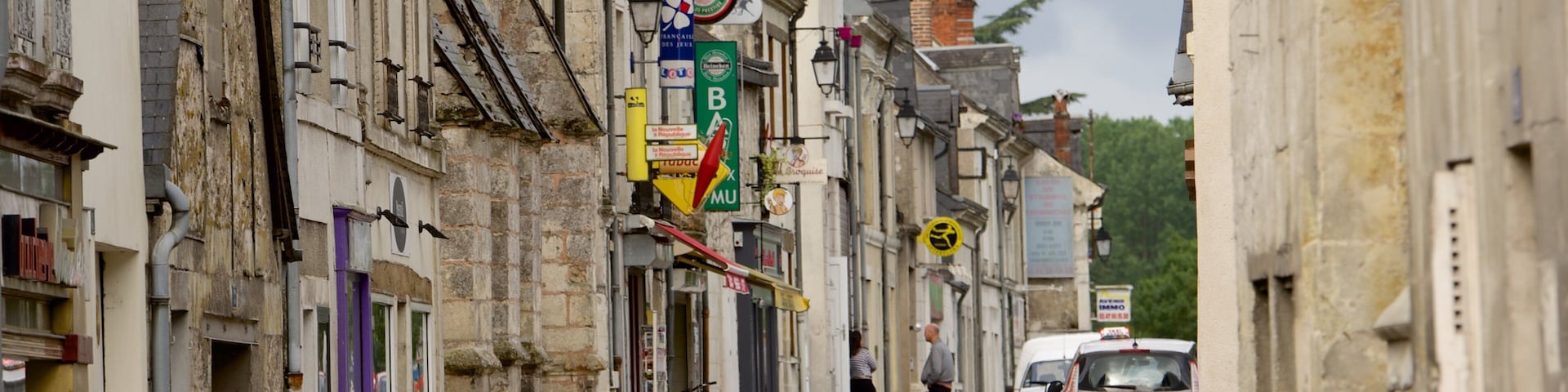 Savonnieres showing a small town or village and street scenes