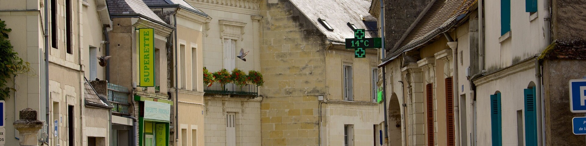 Una calle estrecha flanqueada por edificios históricos, una señal de tráfico verde y un pájaro posado en el alféizar de una ventana.