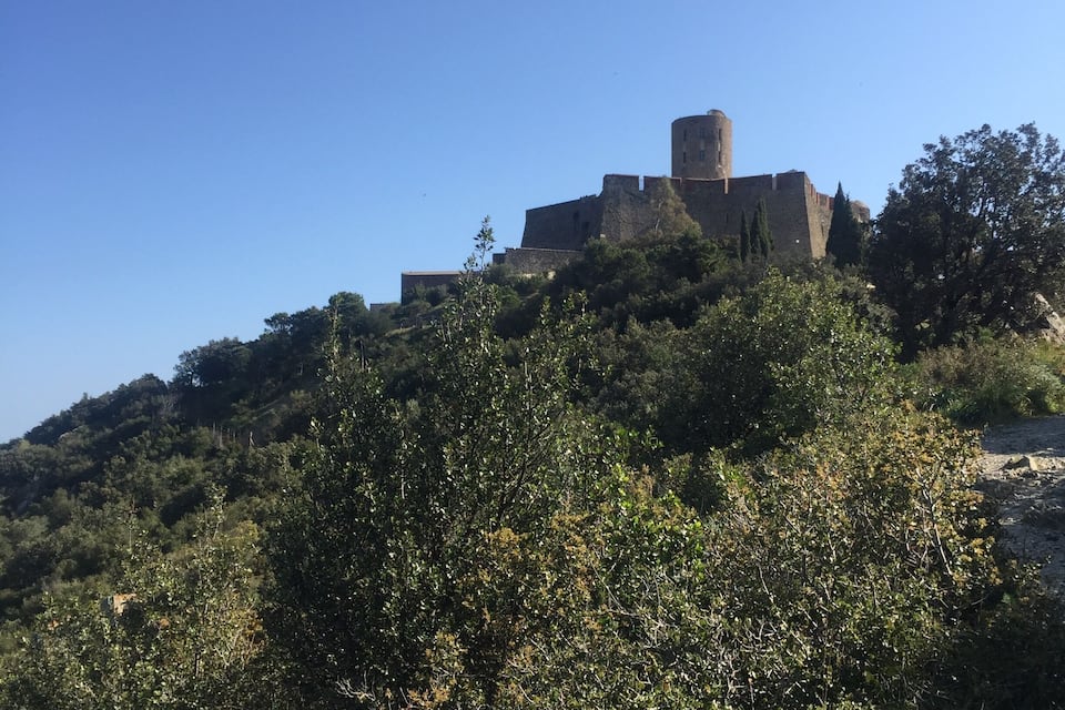 A historic castle atop a hill, surrounded by dense greenery.