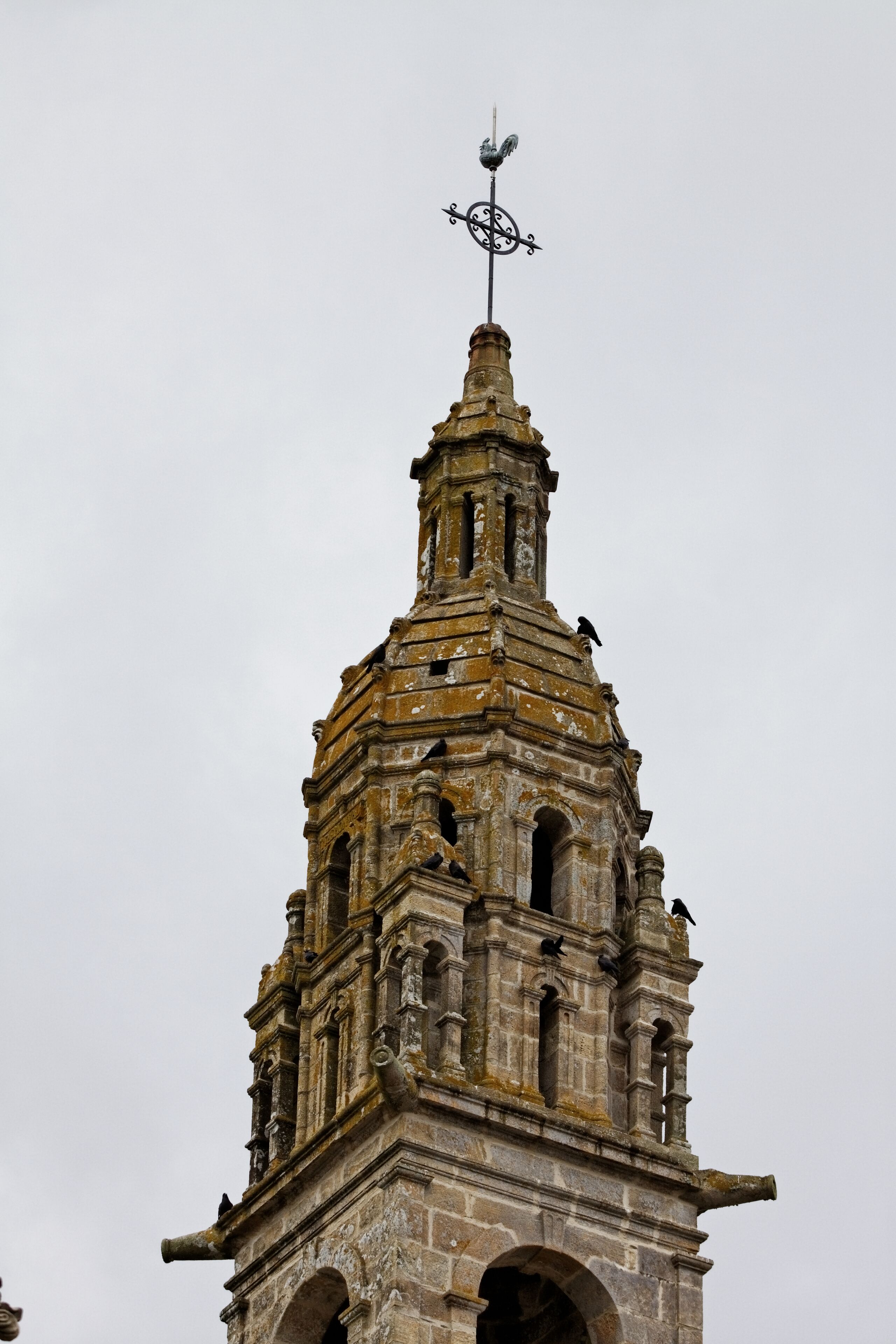 Vue de l'église Saint-Sauveur du Faou.
