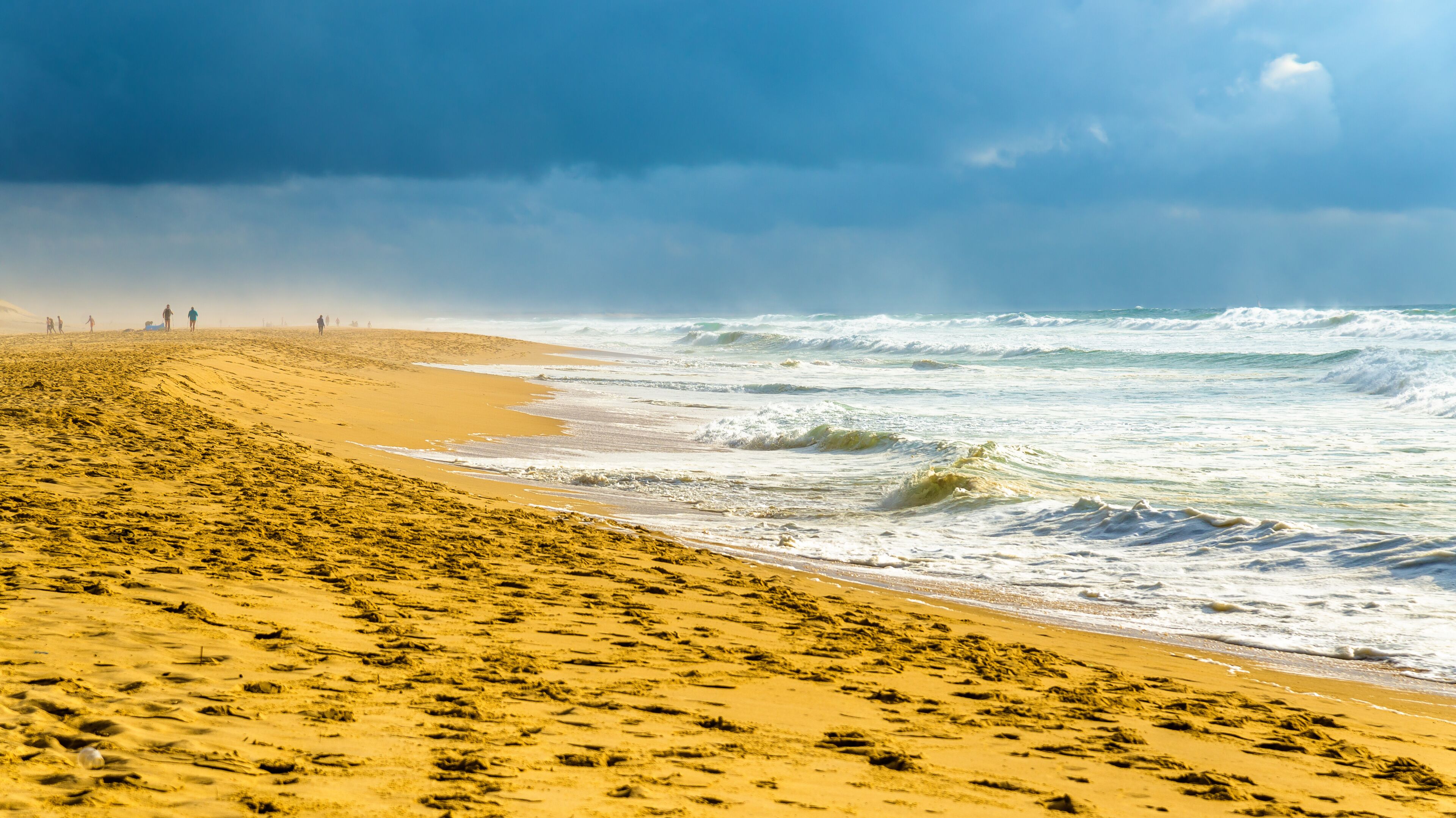 Beach on the Atlantic Ocean near Seignosse - France