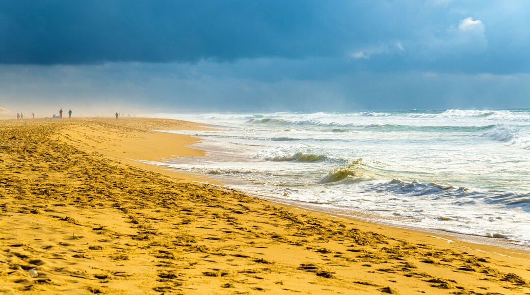 Beach on the Atlantic Ocean near Seignosse - France