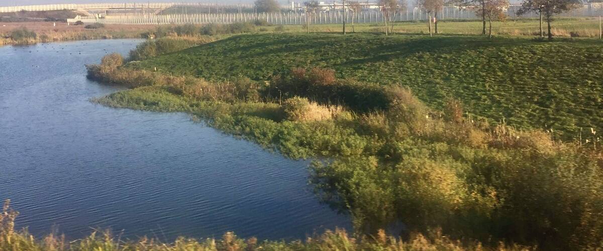 A river meandering through a grassy landscape with trees and a distant fence line.