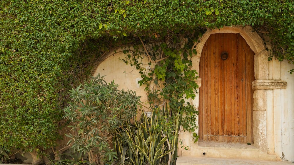 Une porte en bois rustique, surmontée d’un arc en pierre, le tout entouré d’un feuillage verdoyant et luxuriant.