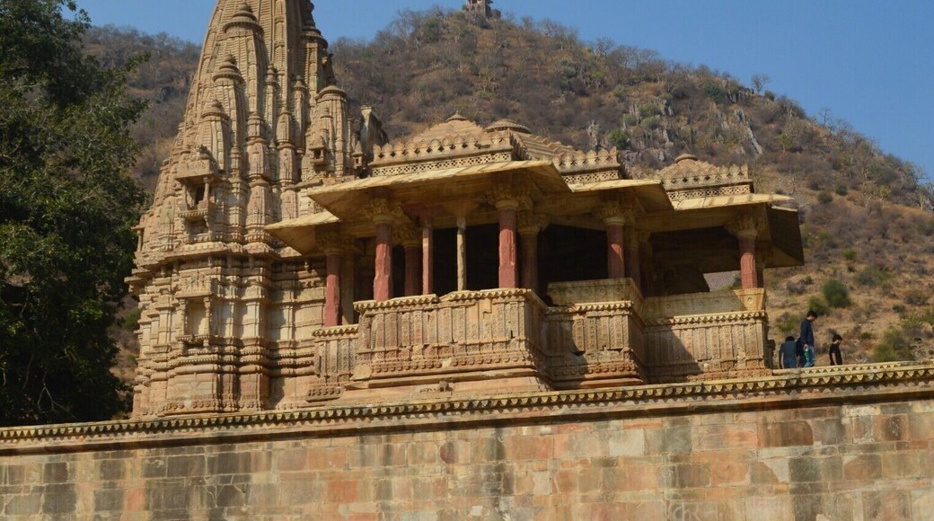 This is the temple inside bhangarh fort. It is near sariska tiger reserve. Known as the most haunted place of India. It is a stunning site.