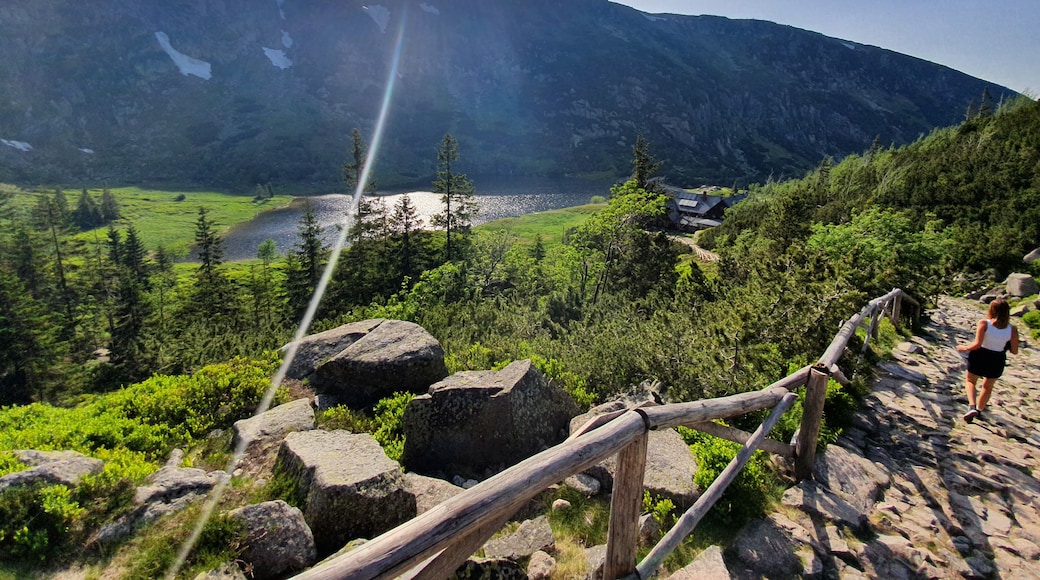 🇵🇱🇵🇱🇵🇱