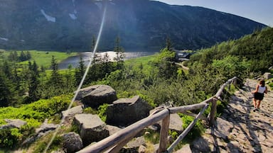 đ”đ±đ”đ±đ”đ±