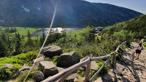 ๐ต๐ฑ๐ต๐ฑ๐ต๐ฑ