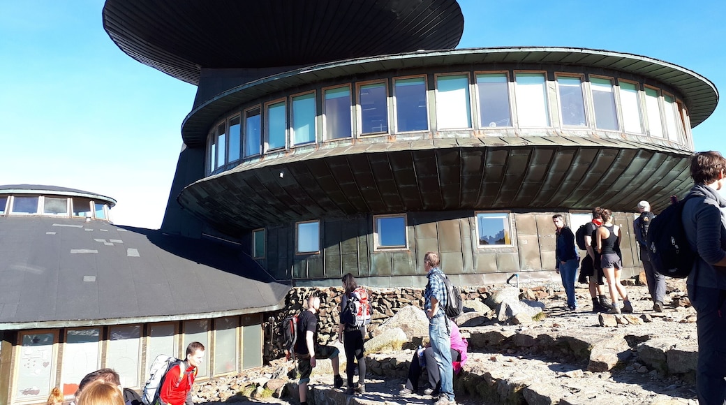 Kosmici już wylądowali ale jeszcze .drzwi zamknięte heee