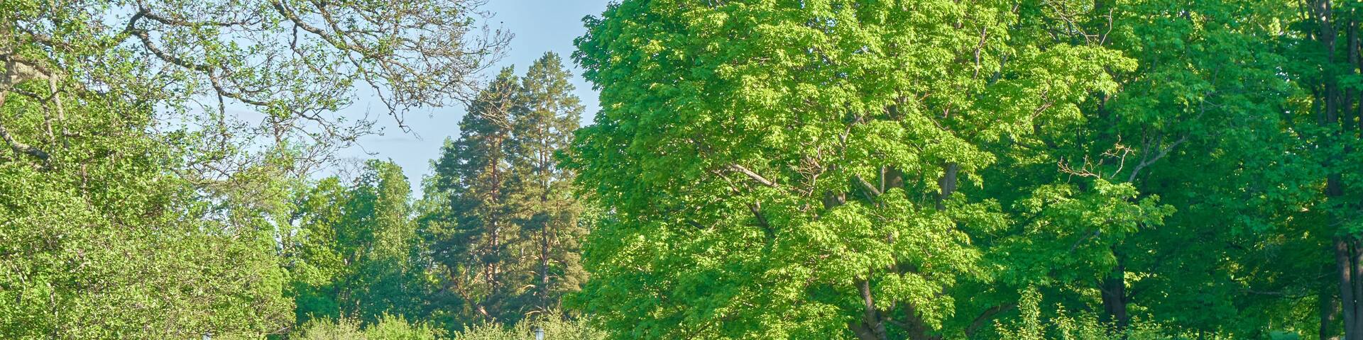 A lush green park with a pond, trees, and a clear sky.