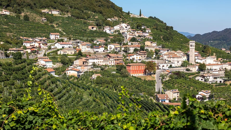 A hillside town with terraced vineyards, historic buildings, and a prominent tower.