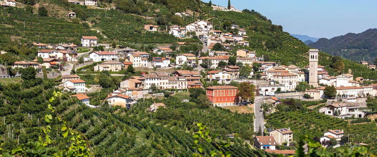 A hillside town with terraced vineyards, historic buildings, and a prominent tower.