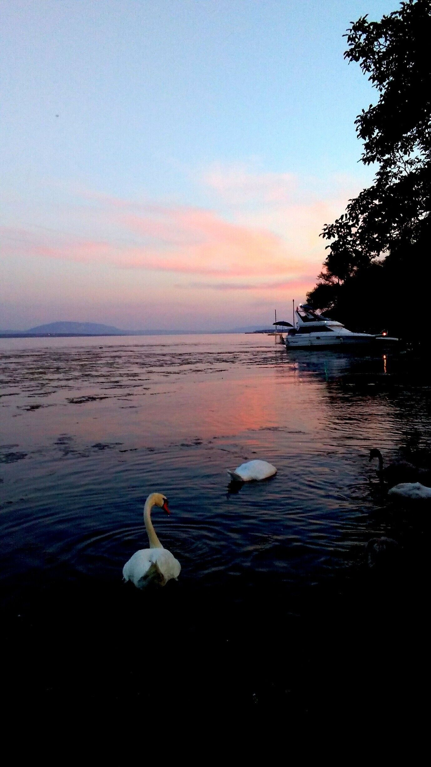 Sunset across the lake from the campsite. A beautiful place to stay & take advantage of the view. #endlesssummer