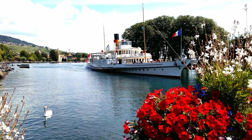 The beautiful paddle steamer on the lake